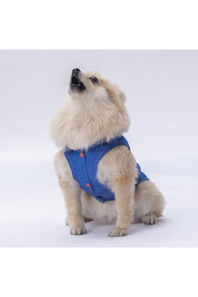 Pawstar Denim Look Cat Dog Shirt - Cat Dog Outfit
