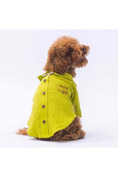 Pawstar Green Linen Look Cat Dog Shirt and Clothes Set