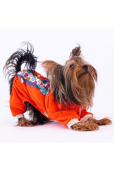 Pawstar Orange Giraffe Cat Dog Pajamas - Cat Dog Jumpsuit - Cat Dog Outfit