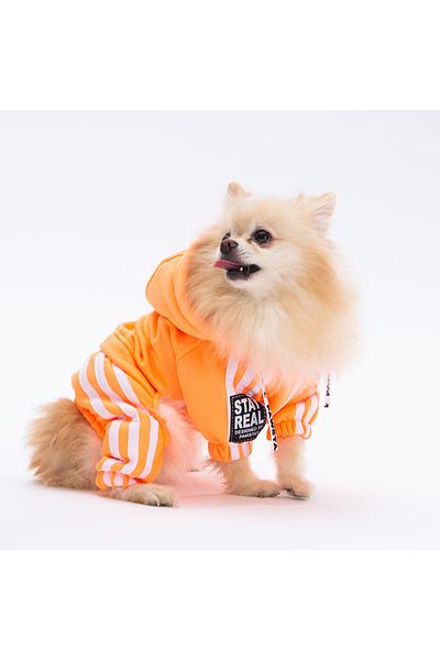 Pawstar Orange Tuta Small Breed Dog Jumpsuit Dog Outfit Dog Tracksuit Cat Outfit