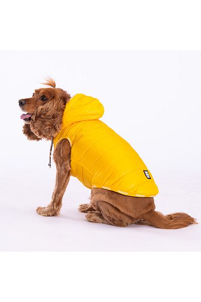 Pawstar Yellow Railway Vest Dog Vest Dog Apparel Dog Raincoat
