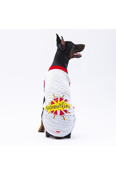 Pawstar Gray Large Dog T-Shirt - Summer Time Dog Outfit (15 KG-45 KG)