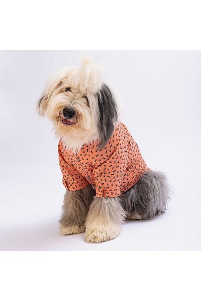 Pawstar Salmon Ossa Large Dog Shirt - Dog Clothes (15 KG-45 KG)