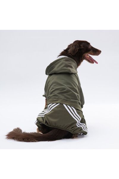 Pawstar Haki Tuta Orta Ve Büyük Irk Köpek Tulumu Köpek Kıyafeti