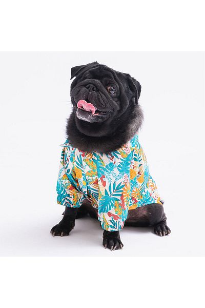 Pawstar Folia Cat Dog Shirt - Cat Dog Outfit