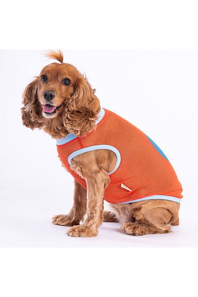 Pawstar Flash Mesh Cat Dog T-Shirt - Cat Dog Outfit