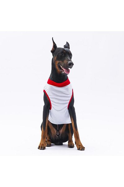Pawstar Gray Large Dog T-Shirt - Summer Time Dog Outfit (15 KG-45 KG)