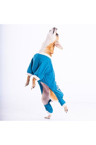 Pawstar Petrol Giraffe Cat Dog Pajamas - Cat Dog Jumpsuit - Cat Dog Outfit