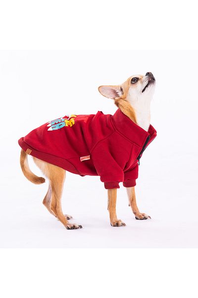 Pawstar Burgundy Monster Cat Dog Jacket Cat Dog Outfit Cat Dog Dress
