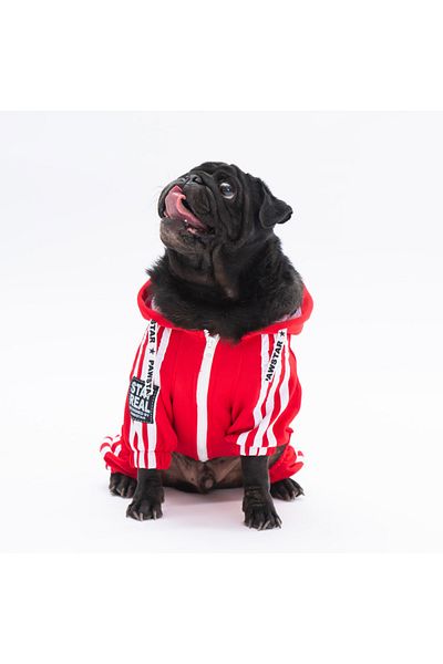 Pawstar Dark Red Tuta Small Breed Dog Jumpsuit Dog Outfit Dog Tracksuit Cat Outfit
