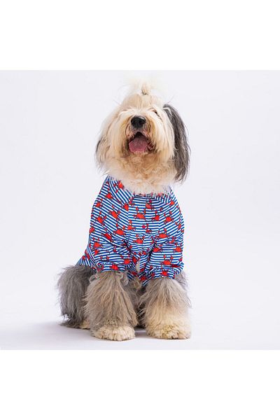 Pawstar Crabs Large Dog Shirt - Dog Clothes (15 KG-45 KG)