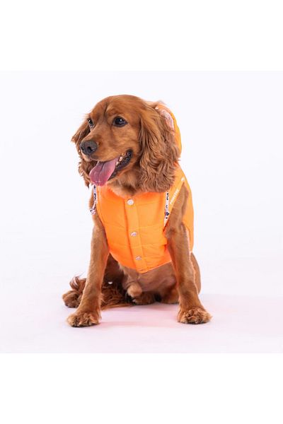 Pawstar Neon Orange Railway Vest Dog Vest Dog Apparel Dog Raincoat