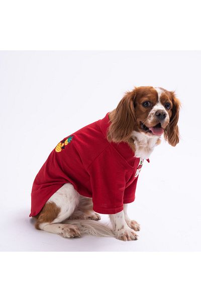 Pawstar Pineapple Polo Collar Cat Dog T-shirt - Cat Dog Outfit