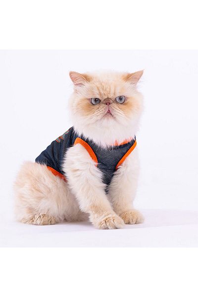 Pawstar Cool Dude Mesh Cat Dog T-Shirt - Cat Dog Outfit
