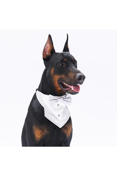 Pawstar Grey Tuxedo Cat Dog Scarf Pet Bandana