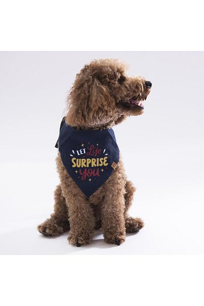 Pawstar Suprise Cat Dog Scarf Pet Bandana