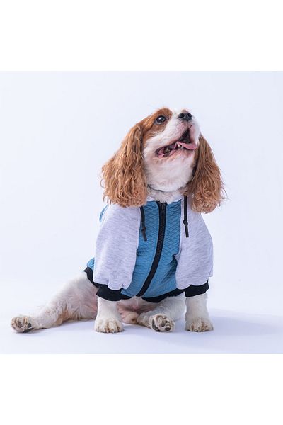 Pawstar Blue PS Desing Cat Dog Jacket Cat Dog Outfit Cat Dog Dress