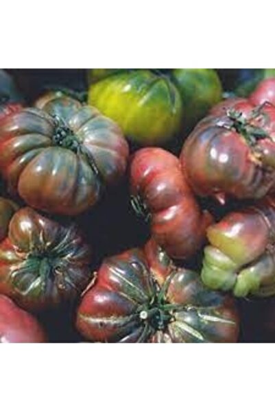 Köy Tohumları 50 Adet Tohuım Organik Varton Köy Domatesi Tohumu Ata Yadigarı ...