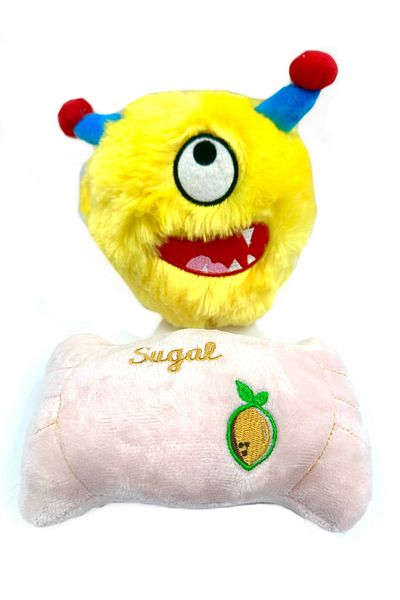 Tasma Market Cute Beast and Pillow Plush Sound Fluffy Dog Toy Set