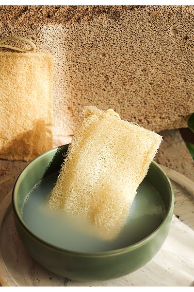 bermark 3 Pieces Natural Pumpkin Fiber Organic, Herbal, Dish Sponge, Economical Set