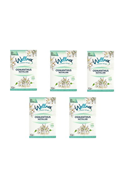 Wellnax breeze refresh Dolap Ve Çekmece Kokusu Osmanthus Notaları Kesesi X5