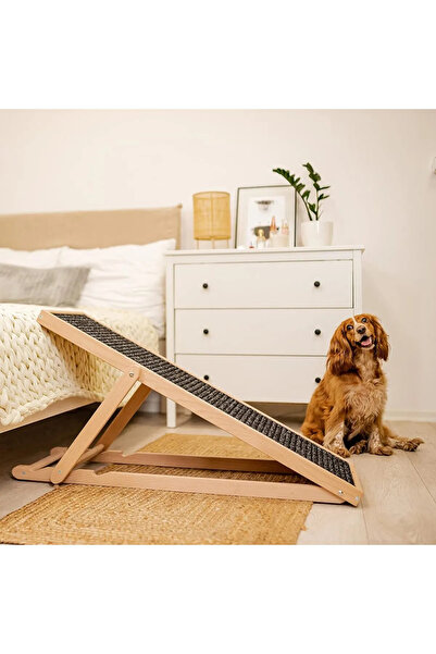 Cottonous Ayarlanabilir Köpek Rampası Kedi Rampası - Dayanıklı Katlanabilir v...