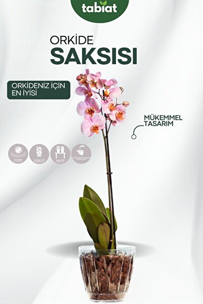 SERİNOVA - Orkide Saksısı - Şeffaf Saksı - 3 Lt