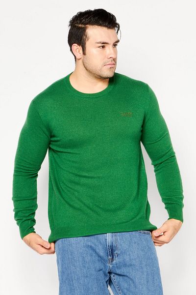 Cavalli Class Men Crew Neck Long Sleeve Brand Logo Sweater, Green