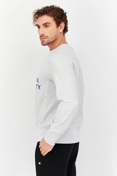 Champion Men Sportswear Fit Graphic Print Long Sleeves Sweatshirts, Grey