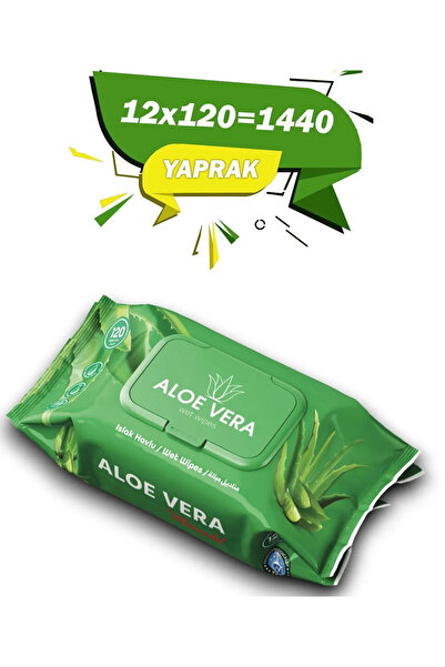 momendol Aloe Vera 120 Li Islak Havlu 12x120 Li 1440 Adet Yaprak