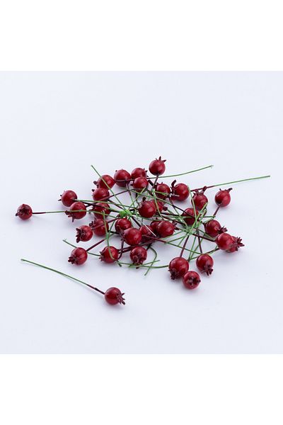 Bimotif Red Mini Pomegranate Stringed Berry - 10 Pieces