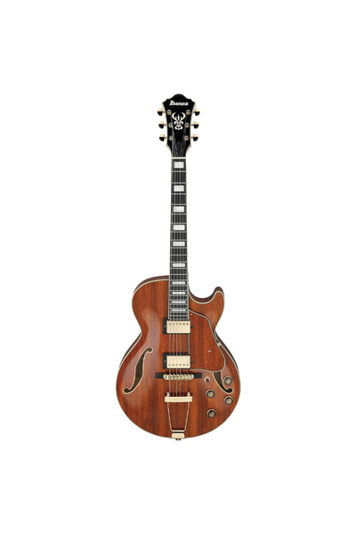 IBANEZ Ag95k-nt Hollow Body Elektro Gitar