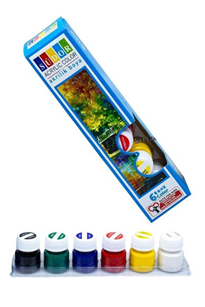 Südor Akrilik Boya 6 Renk 20 ml 1 Paket Akrilik Boya Seti 6 lı Ahşap Tuval Ta...