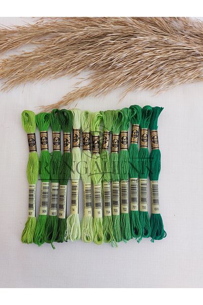 Dmc Muline Vibrant Green 13 Colors