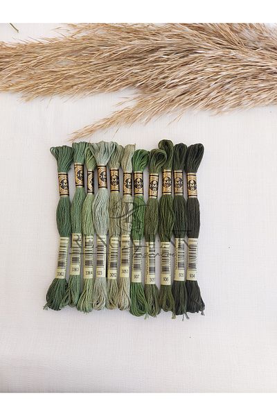 Dmc Muline Khaki Soft Green Thread Set 11 Colors
