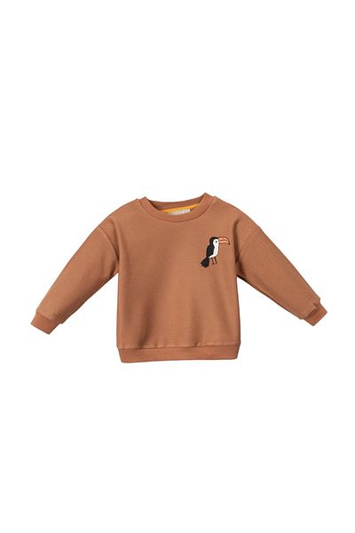 Lolons boy sweatshirt