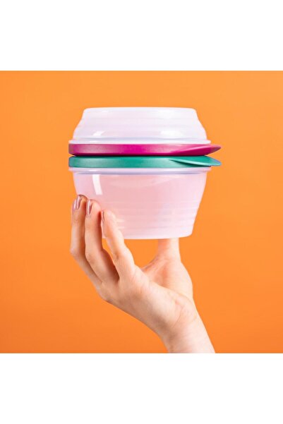 Tupperware 240ml and 500ml Aquamarine-Purple Duet Containers