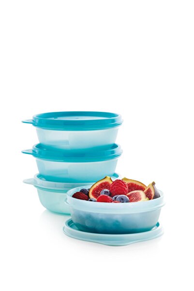 Tupperware Saklama ve Servis Kabı 4'lü Set 300 ml