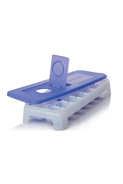 Tupperware 14 Piece Ice Mold Plum Set