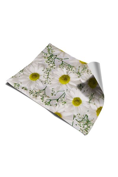 Bigaimaj Foil Daisy - Autocolant adeziv pentru frigider și mașină de spălat vase