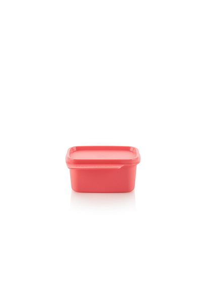 Tupperware Custom Square 160ml Kitten Refrigerator Storage Container with Airtight Lid Practical Kitchen Solution