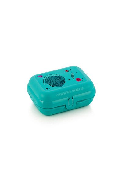 Tupperware Summer Air Oyster Food Storage Container