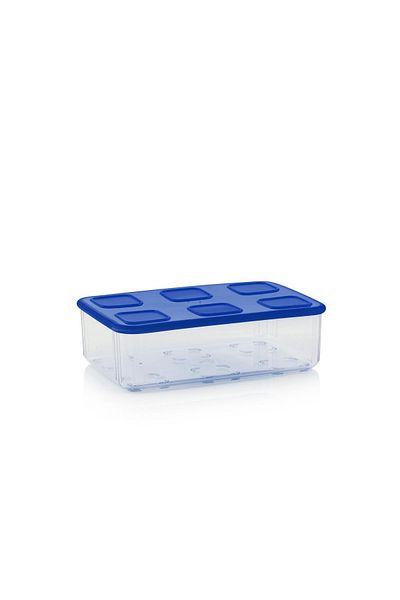 Tupperware 1.62L Navy Blue Clear Storage Container