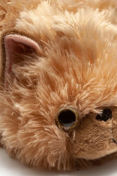 Twigy TW CAT-2 KHV 28/35