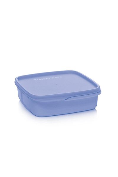 Tupperware 550 ml Blackberry Compartmented Food Carrying Container
