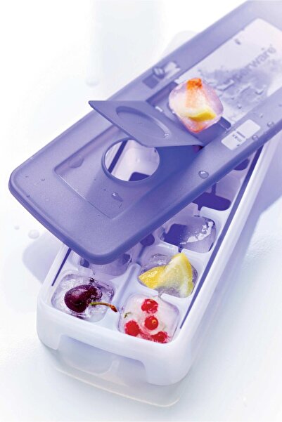 Tupperware 14 Piece Ice Mold Plum Set