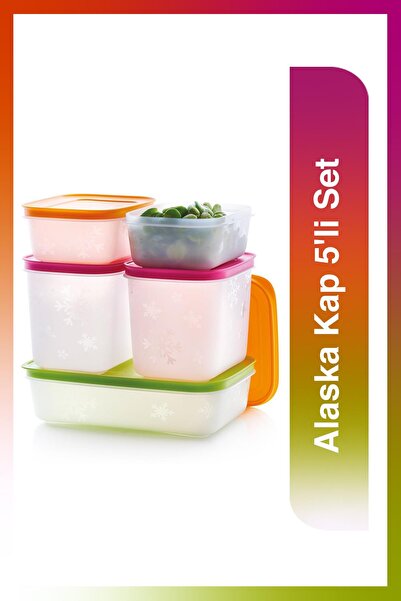 Tupperware Alaska Freezer 5-Piece Storage Container Set