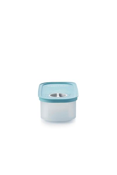Tupperware Oval-1 Time Holder Storage Container for Pulses and Dry Food 320 ml