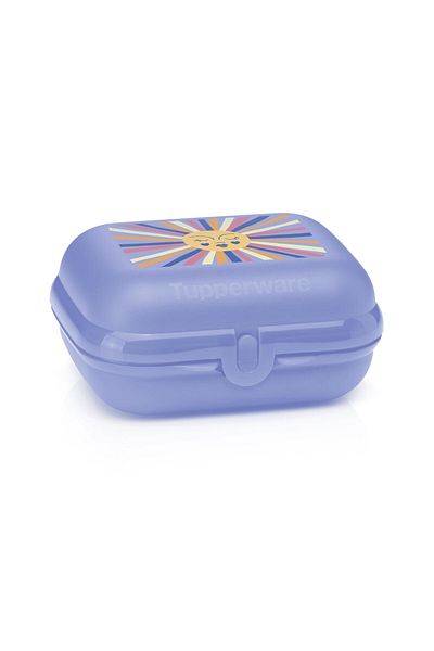 Tupperware 500ml Rainbow Food Carrying Container