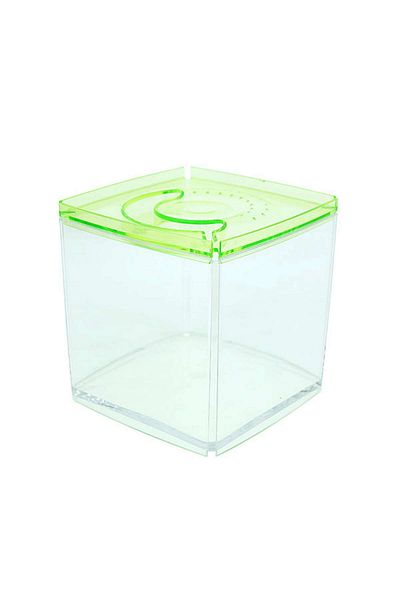 Ista Stylish Display Case - Square Tank - Green Zrnet